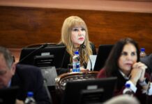 Diputada oficialista responde a intendente que cuestionó las cámaras en Casa Gris