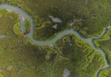 Los deltas del mundo se hunden más rápido que el aumento del nivel del mar