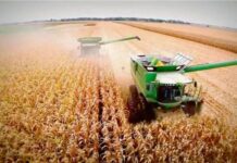 La Unión Europea aprobó el acuerdo de libre comercio con el Mercosur tras 25 años de negociación