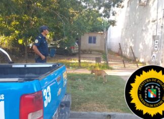 Allanamiento en calle 11 del Norte terminó con el secuestro de un arma calibre .32 largo