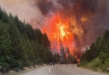 Incendios en Chubut obligan a cortar la Ruta 40 y 3000 personas fueron evacuadas; el pronóstico es desolador