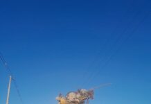 Avanza la erradicación de minibasurales en distintos sectores de la ciudad