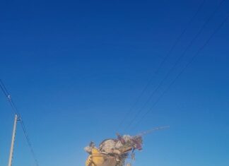 Avanza la erradicación de minibasurales en distintos sectores de la ciudad