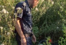 Hallaron una motocicleta robada en un descampado del barrio ATE