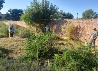 Se realizaron operativos de limpieza en el predio del Hospital Urquiza y en la Ex Policía Montada