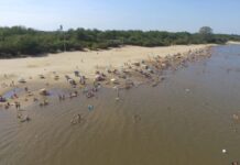 Turismo de verano. Concepción del Uruguay se afirma como destino emergente en Entre Ríos