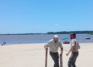 Guardaparques demarcaron y concientizaron sobre la protección de aves playeras en Cambacuá
