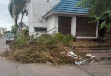 Preocupación por la falta de respeto a las normas de gestión de residuos en el microcentro