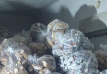 El Galpón Solidario entregará galletitas a instituciones este miércoles en Concepción del Uruguay