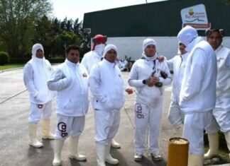 Granja Tres Arroyos, el mayor frigorífico avícola del país, al borde del cierre