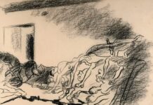 PLÁSTICA. Así sobreviví