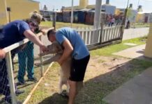 Municipio realizó operativo interdisciplinario en el barrio 100 Viviendas