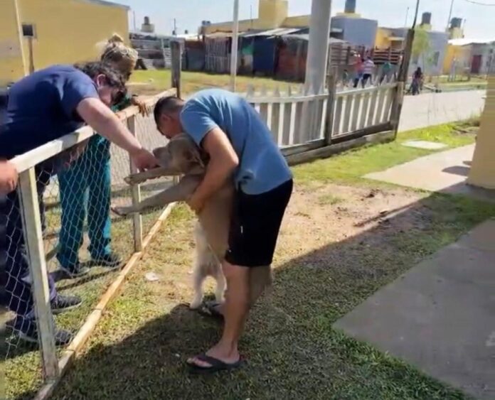 Operativo-20100-20Viviendas-203.jpeg_75