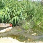 PAGINA 3 FOTO DEL DERRAME CONTINÚA