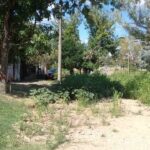 PAGINA 3 FOTO FRENTISTA SIN GARAGE