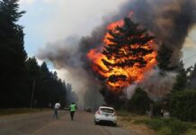 Incendios en Chubut: brigadistas retoman el combate contra el fuego y esperan con optimismo las lluvias