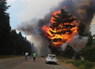 Incendios en Chubut: brigadistas retoman el combate contra el fuego y esperan con optimismo las lluvias