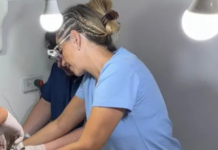 Castramóvil realizó 22 castraciones y continuará en el Predio Multieventos