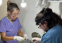 Sanidad Animal realizó 29 castraciones en la tercera semana de febrero y suma un operativo en barrio Ex Circuito Mena