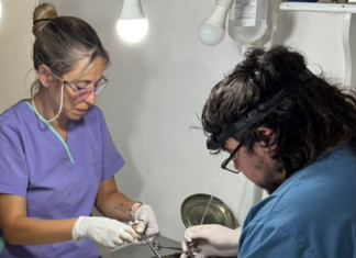 Sanidad Animal realizó 29 castraciones en la tercera semana de febrero y suma un operativo en barrio Ex Circuito Mena