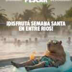 TURISMO PROVINCIAL 300×600