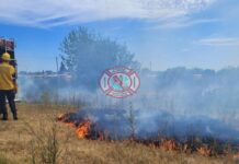 Bomberos Voluntarios de Concepción del Uruguay extinguió incendio intencional de pastizales