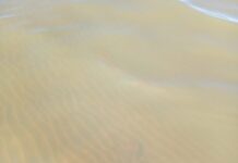 Alerta por verdín en los balnearios