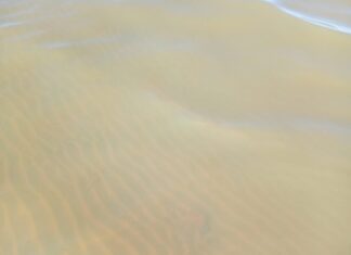 Alerta por verdín en los balnearios