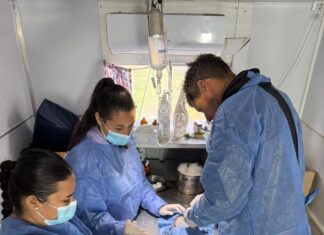 Más de 45 castraciones en la primera semana de febrero