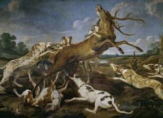 Sobre el mito de Acteón