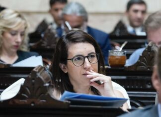 Marclay: “La baja de imputabilidad no resuelve el problema”