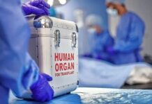 Día Mundial del Trasplante: más de 7.000 argentinos esperan un órgano