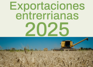 Las ventas de Entre Ríos al mundo crecieron 47 por ciento en el último año y casi 100 por ciento desde 2023