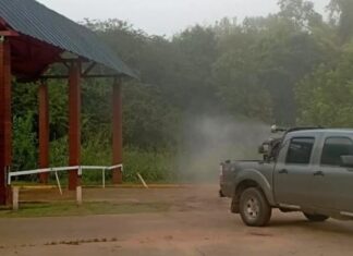 Continúan las tareas de fumigación y control de plagas en espacios públicos