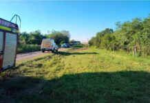 Hallaron muerta, con una herida de bala, a la mascota del joven calcinado en Cerrito