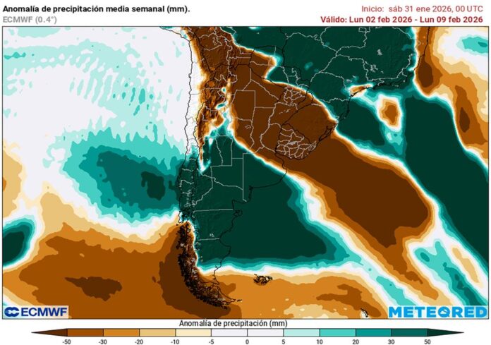 la-primera-semana-de-febrero-marcaria-el-final-de-un-bloqueo-historico-sobre-el-este-de-argentina-1770050134324_1024_png_75