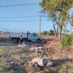 minibasurales (1) (1)