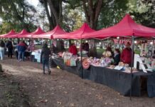 El Movimiento Emprendedor se suma al Carnaval con una edición especial