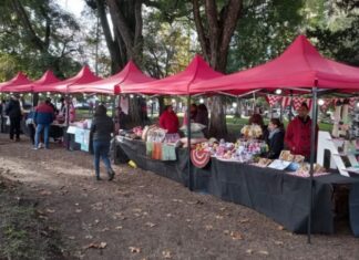 El Movimiento Emprendedor se suma al Carnaval con una edición especial