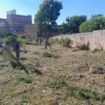 operativos limpieza (3)