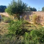 operativos limpieza (5)