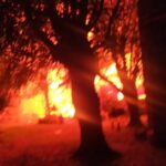 pagina 7 Incendió la casa de su pareja y fue detenido tras un operativo policial1