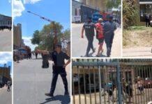 Conflicto portuario: balance del operativo policial