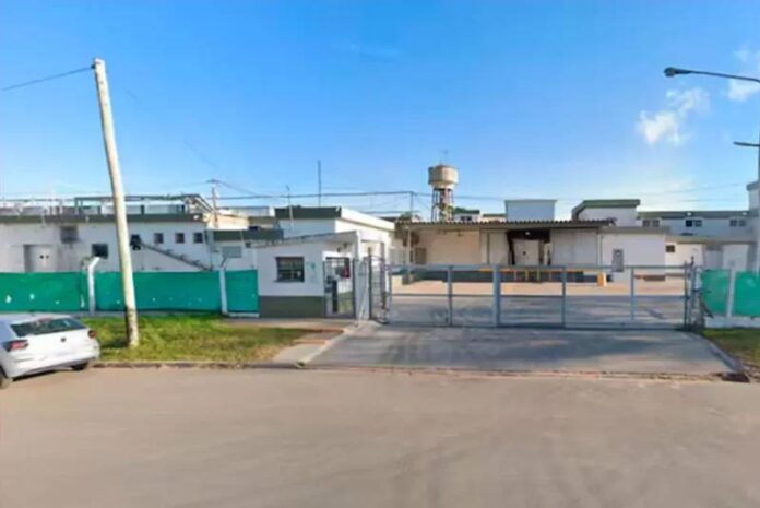 paty-1024x683_webp_75