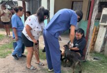 El Castramóvil atenderá en Villa Itapé