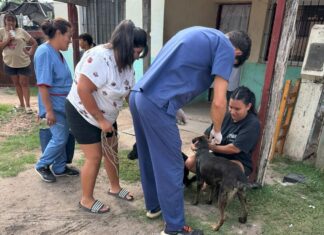 El Castramóvil atenderá en Villa Itapé