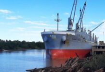 Arribó un nuevo buque de ultramar al Puerto de Concepción del Uruguay para la exportación a la India