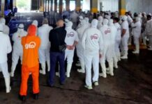 Persisten las tensiones en Granja Tres Arroyos: reclaman el pago de salarios y días caídos