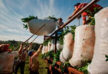 Los yerbateros protestan contra la desregulación y la apertura de importaciones: «Perjudica a los productores más chicos»