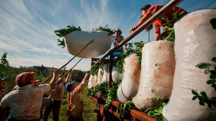 MEZTKNJUGEYTOOBSHBSWCNJTGM_jpg_75